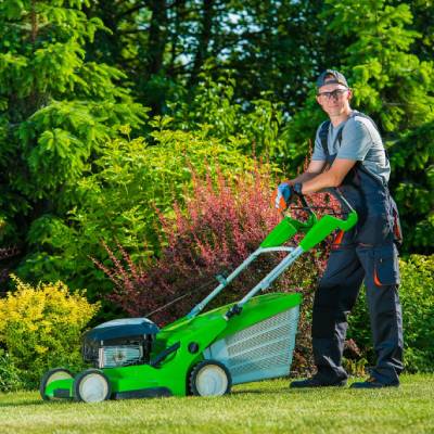 LANDSCAPING